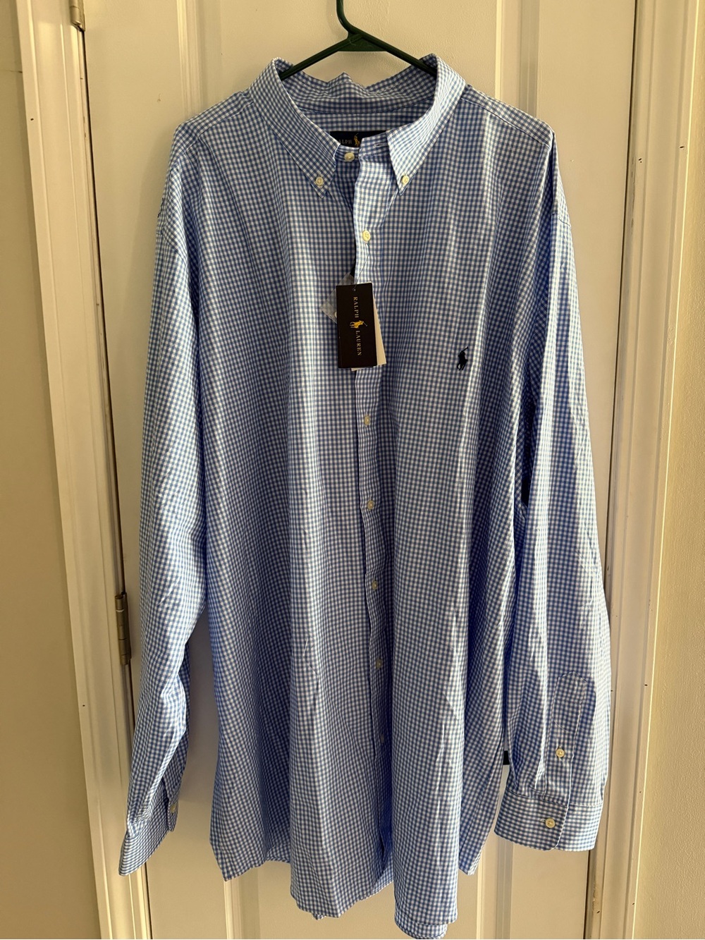 Polo by Ralph Lauren Light Blue Gingham Button-Down Shirt
